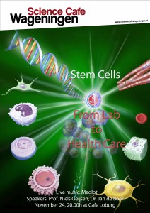 2011-11-24 Stem cells
